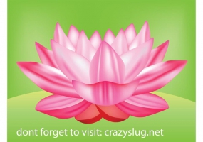 285x200 Lotus Free Vector Graphic Art Free Download (Found 253 Files) Ai