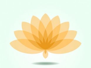 310x233 Lotus Flower Spa Background Free Vector Free Vectors Ui Download