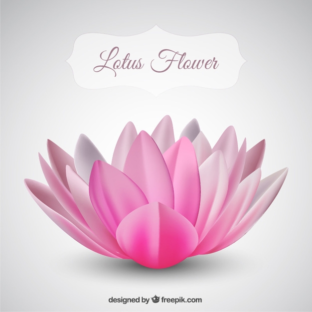 626x626 Lotus Flower Vector Image Free Download