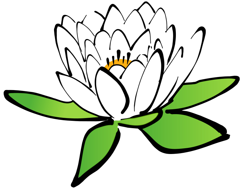 800x621 Lotus Flower Free Vector 4vector
