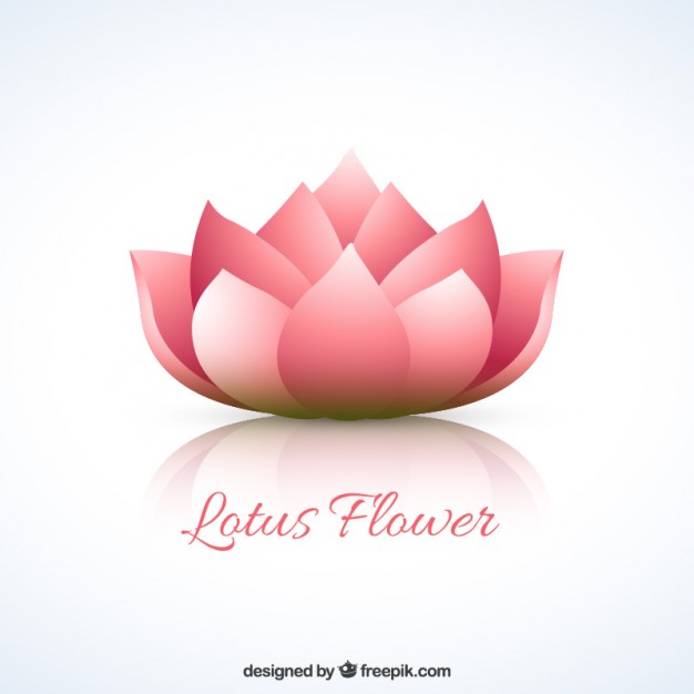 626x626 Lotus Flower Vector Free Download