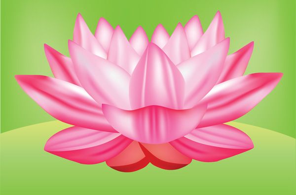 600x396 Free Lotus Flower Vector Graphic Free Psd Files, Vectors
