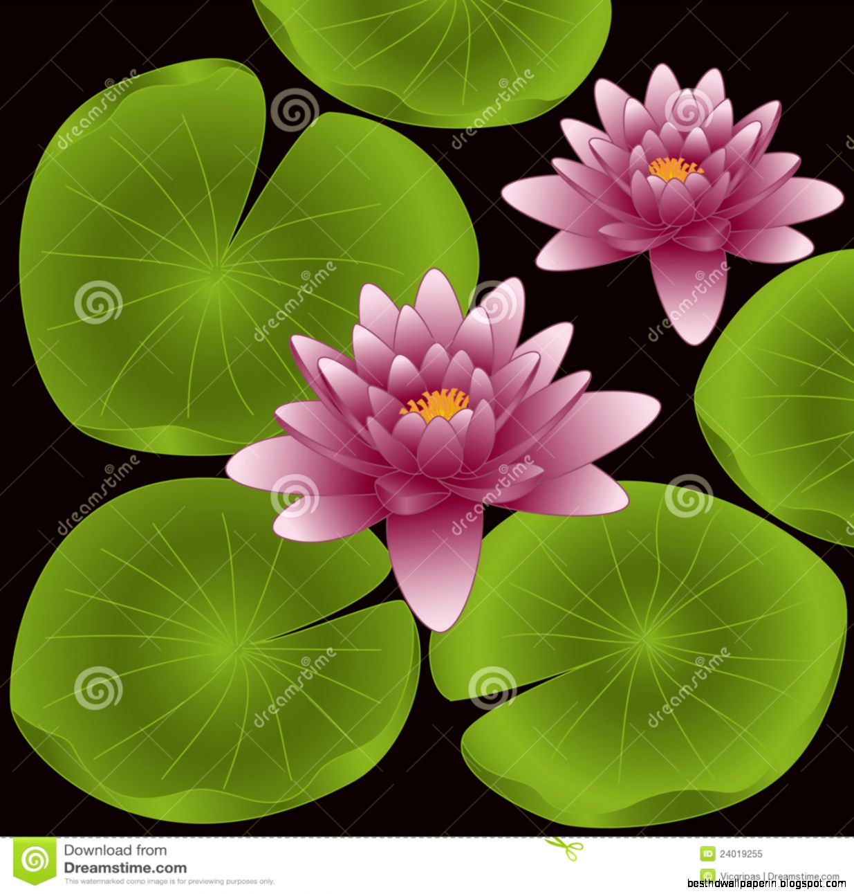 1235x1292 Lotus Flower Photos Free Download Best Hd Wallpapers