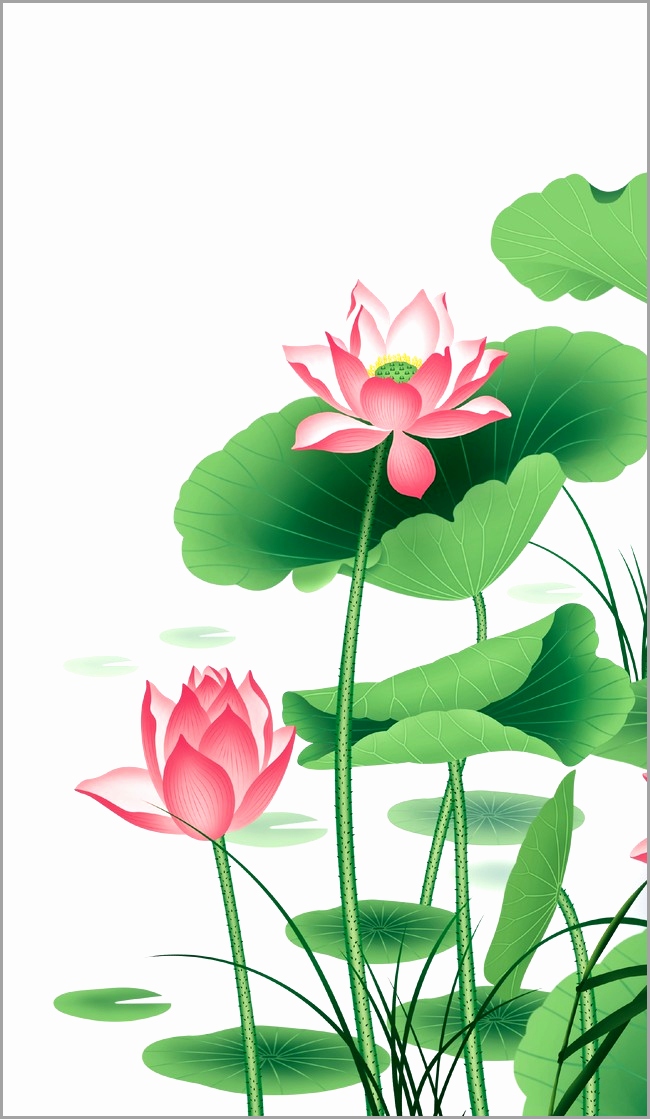 Lotus Flower Vector Free Download at GetDrawings | Free download