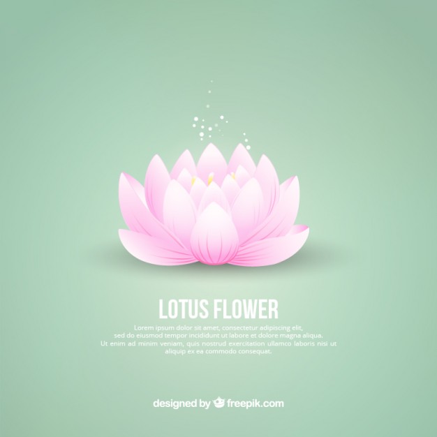 626x626 Lotus Flower Background Vector Free Download