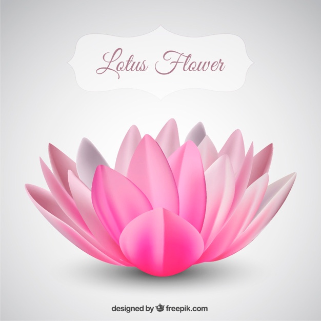 626x626 Lotus Vectors, Photos And Psd Files Free Download