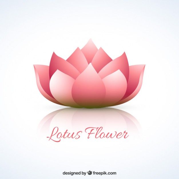 626x626 Lotus Flower Vector Free Download Espiritu Amp Alma