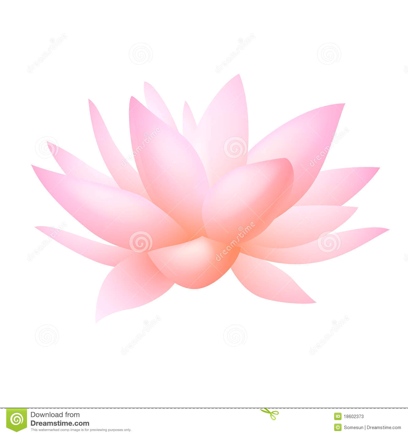 1300x1390 Vector Art Waterlilly Clipart
