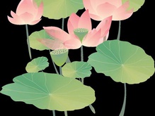 219x165 Lotus Vector [Ai]