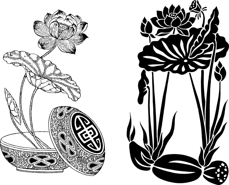 800x645 Lotus Vector Amp Graphics To Download