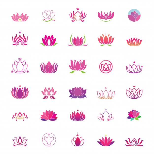 626x626 Lotus Vectors, Photos And Psd Files Free Download