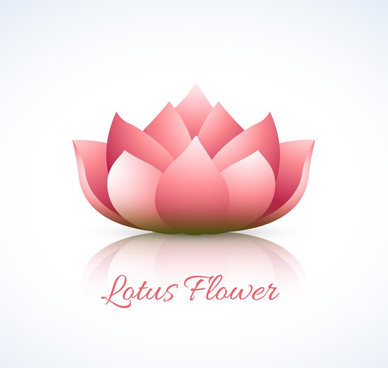800x759 Creative Pink Lotus Vector [Ai]