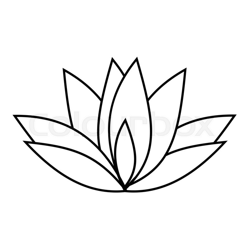 800x800 Lotus Icon. Outline Illustration Of Lotus Vector Icon For Web