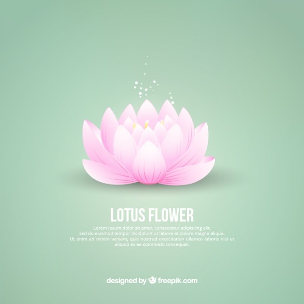 626x626 Lotus Flower Free Vectors