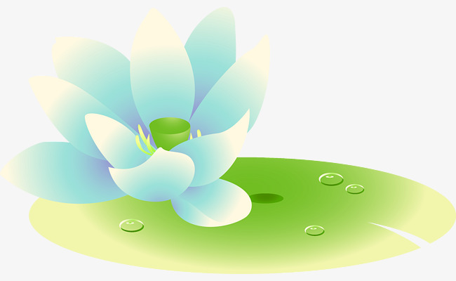 650x400 Lotus Vector, Lotus, Vector Png And Vector For Free Download