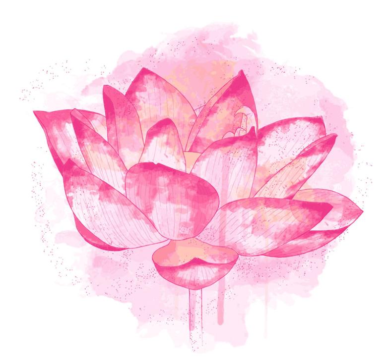 782x727 Pink Watercolor Lotus Vector Free Vector Graphic Download