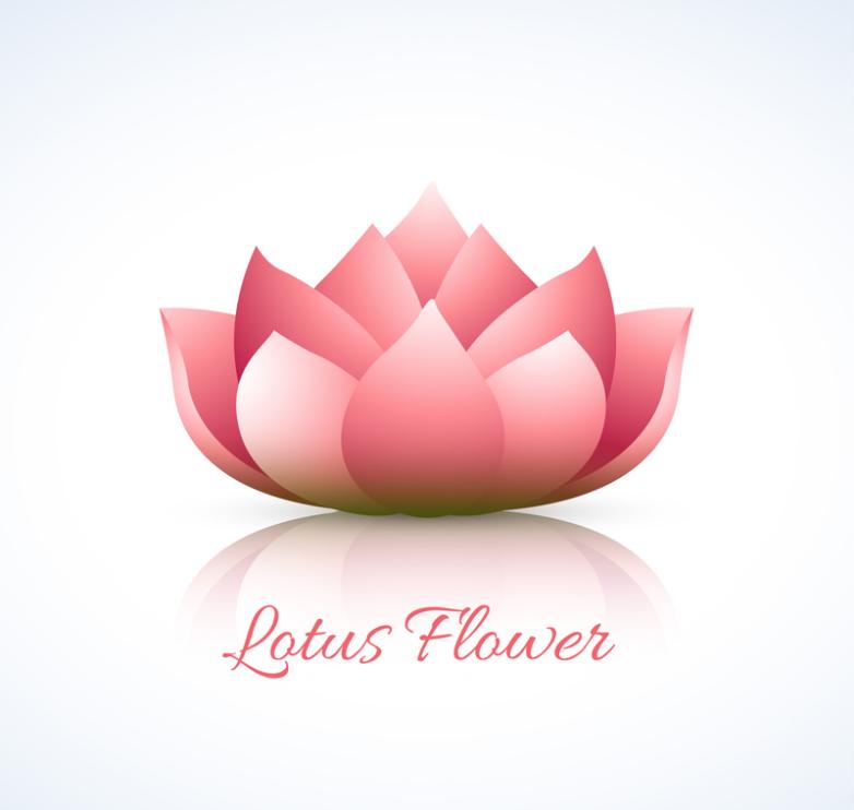 782x742 Creative Pink Lotus Vector Free Vector Graphic Download