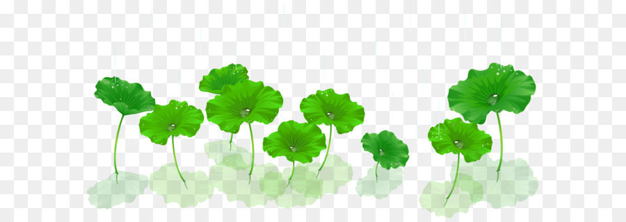 900x320 Download Lotus Vector Material