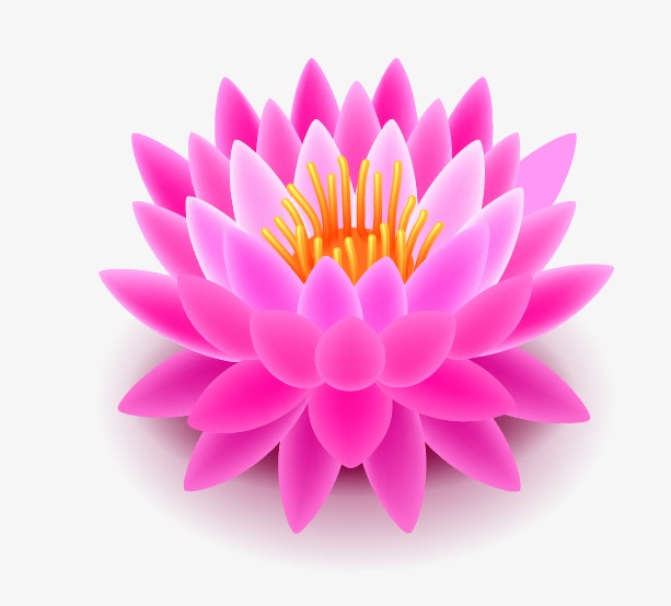 613x554 Lotus Clipart Png Amp Lotus Clip Art Png Images
