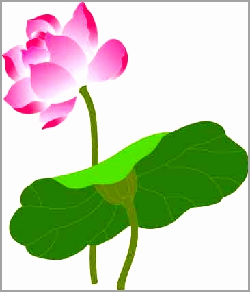 366x426 Lotus Vector Png New Keywords Lotus Vector Free Download