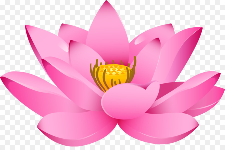 Lotus Vector Png at GetDrawings | Free download