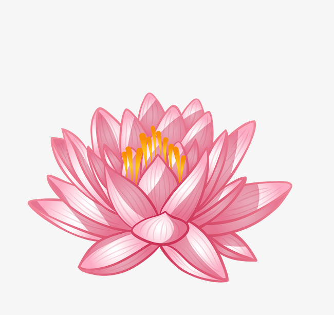 Lotus Vector Png at GetDrawings | Free download