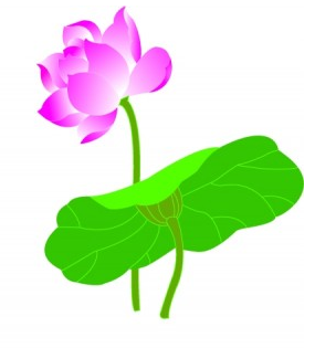 285x315 Lotus Cg Imitate Vector Ai,eps Format Free Vector Download
