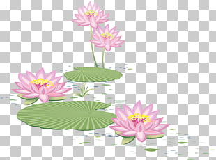 310x230 2,199 Lotus Vector Png Cliparts For Free Download Uihere