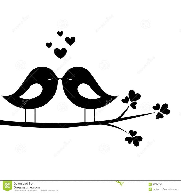 Love Bird Vector