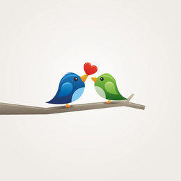 260x260 Lovebird Vector Graphics To Download