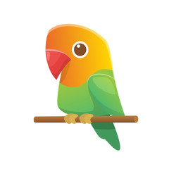 240x240 Lovebird Photos, Royalty Free Images, Graphics, Vectors Amp Videos