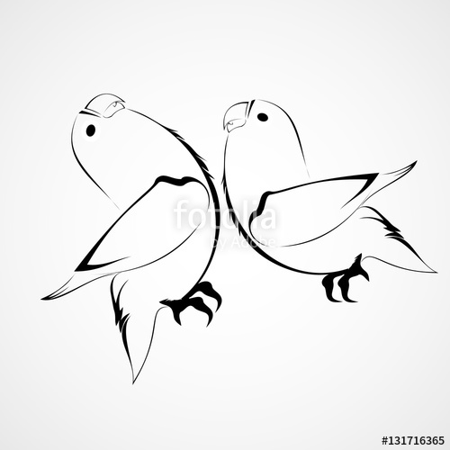 500x500 Lovebird Vector Stock Image And Royalty Free Vector Files On