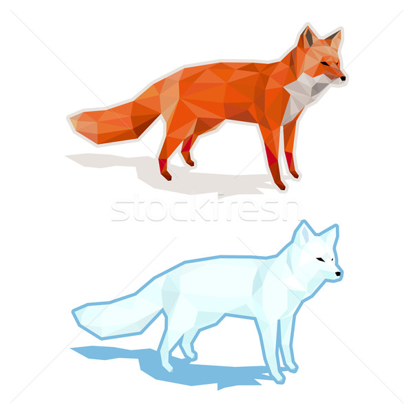 600x600 Red And White Foxes Isolated On White With Shadow
