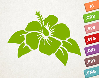 340x270 Luau Vector Etsy