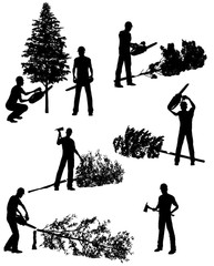 193x240 Lumberjack Photos, Royalty Free Images, Graphics, Vectors Amp Videos
