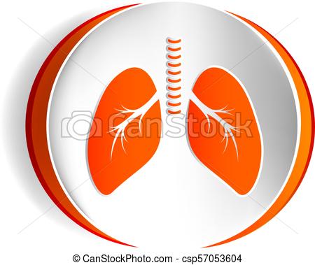 450x379 Lungs Vector Icon.