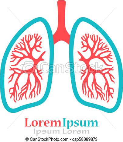 405x470 Lungs Vector Logo Isolated On White Background.