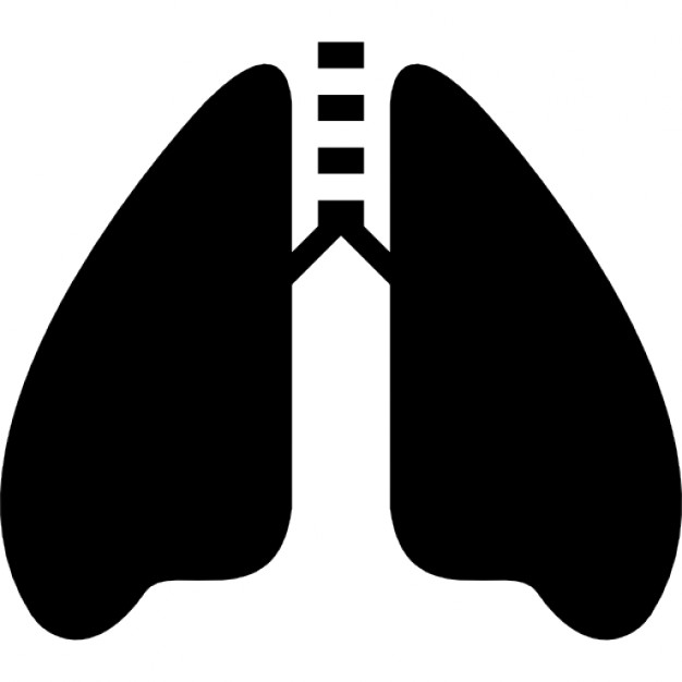 626x626 Lungs With The Trachea Icons Free Download