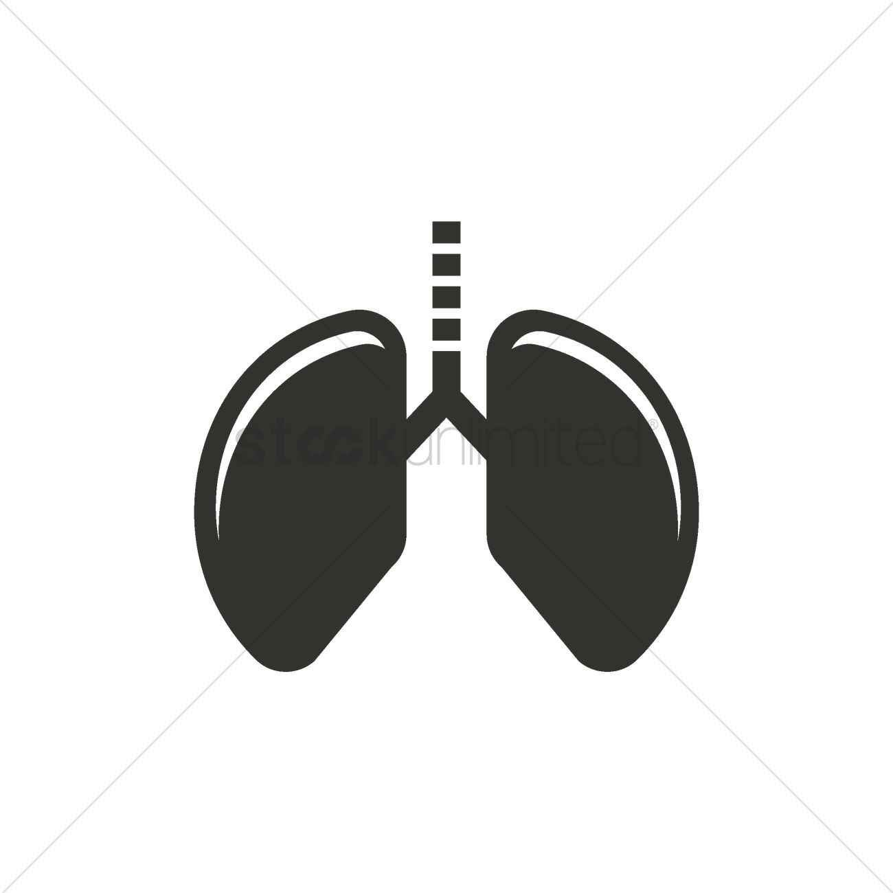1300x1300 Free Lungs Vector Image