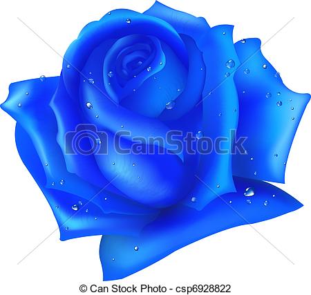 450x427 Rose And Blue Vector Clipart Eps Images. 12,243 Rose And Blue Clip
