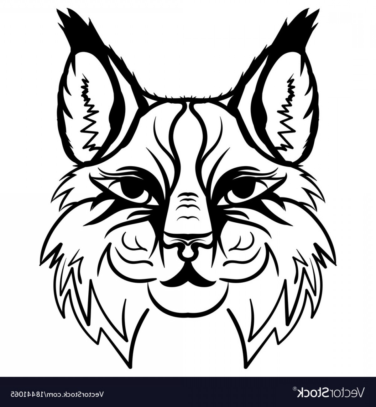 1200x1296 Lynx Head Sketch Graphics Monochrome Vector Lazttweet