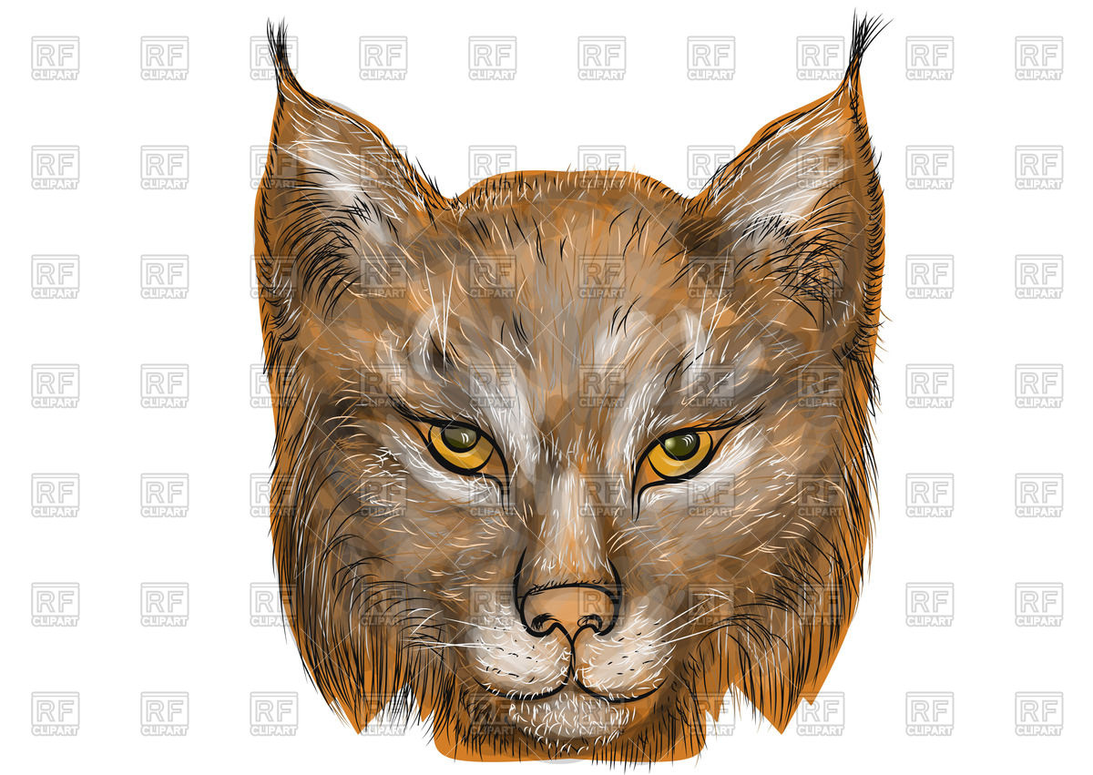 1200x851 Lynx Head Vector Image Vector Artwork Of Plants And Animals