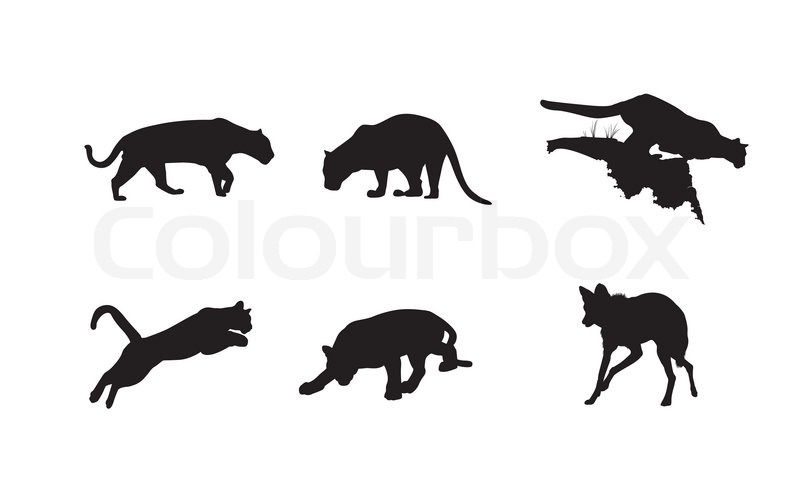 800x482 Black Silhouettes Of Panther, Lynx And Hyena On The White
