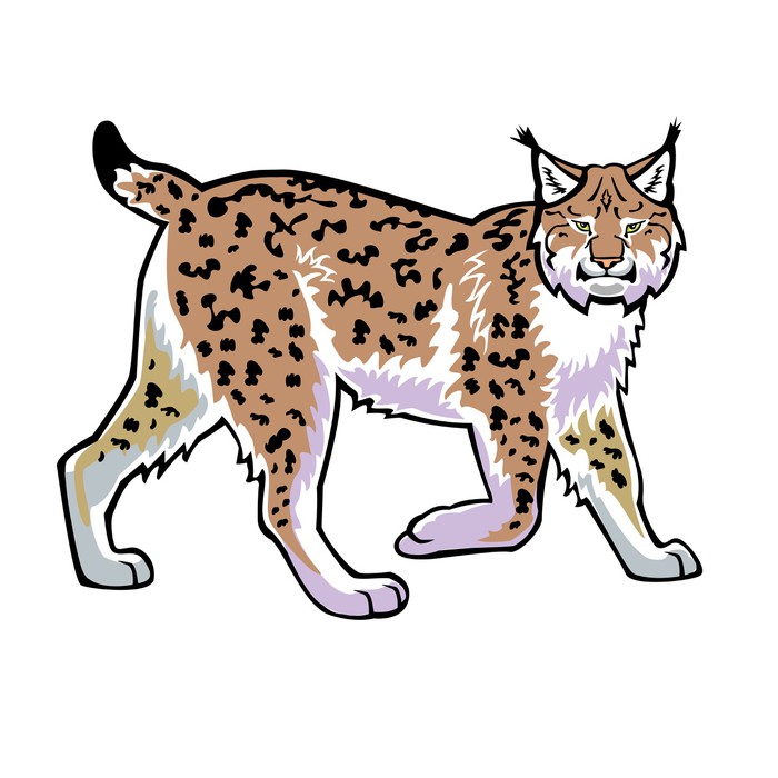 700x700 Lynx Vector Isolated On White Wall Mural We Live To Change