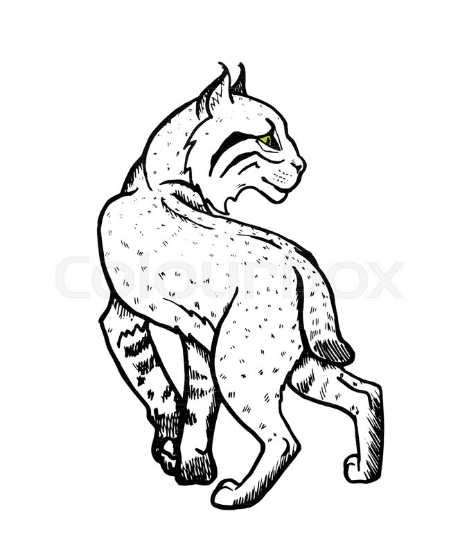 677x800 Forest Lynx, Graphic Black And White Vector Illustration Stock
