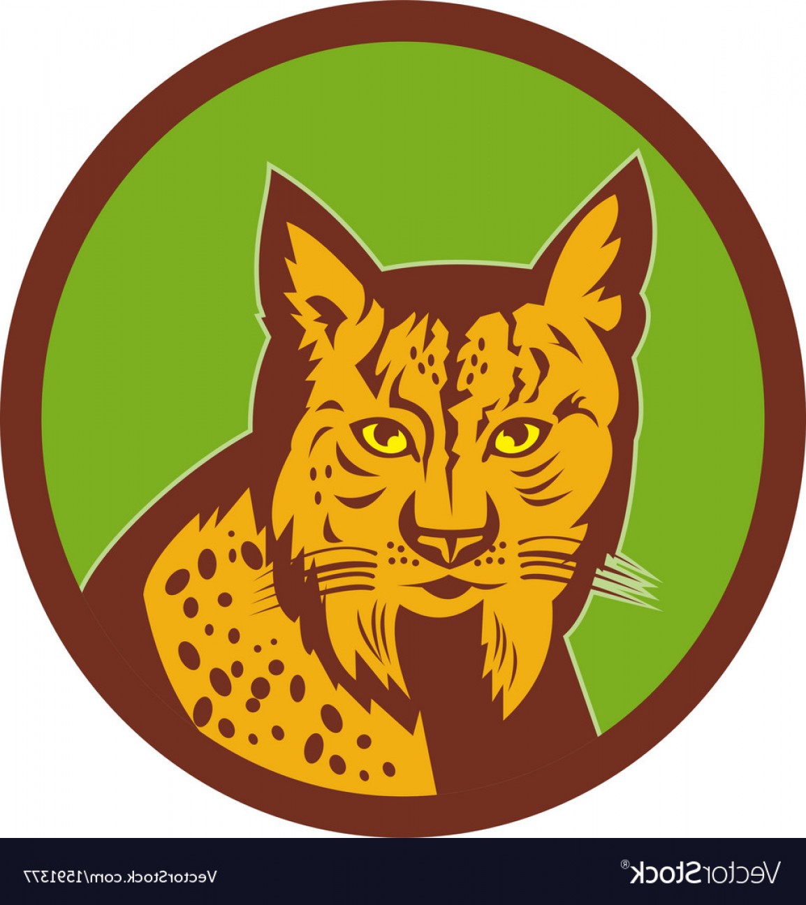 1154x1296 Iberian Lynx Head Front Vector Lazttweet