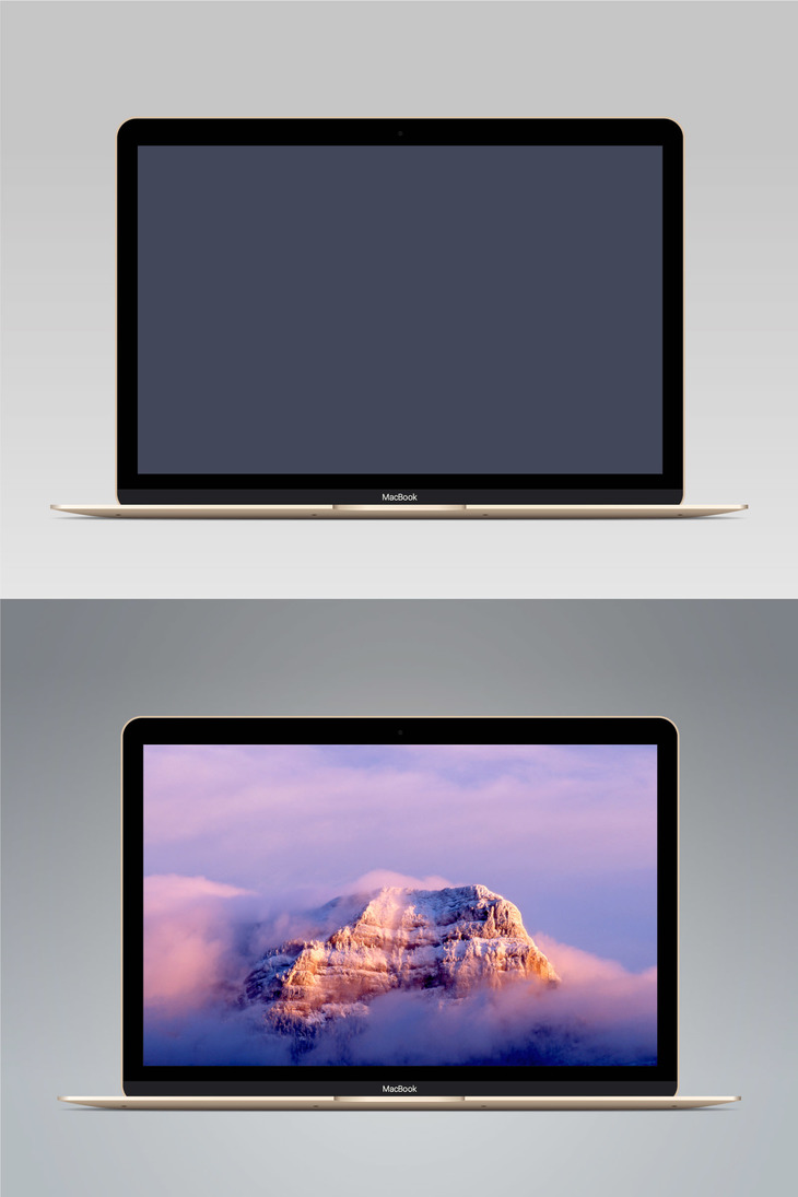 730x1095 Vector Macbook Gold