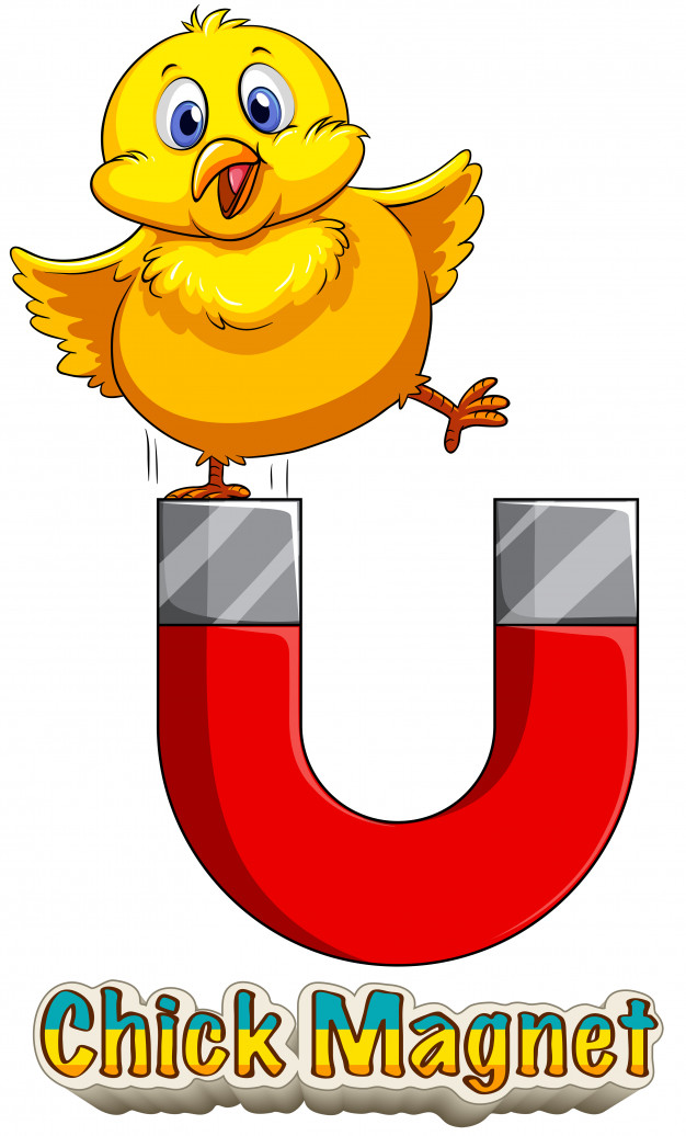626x1036 Chick Attracted To Magnet Vector Premium Download