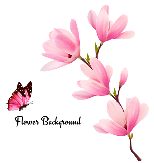500x531 Pink Magnolia Flower Background Vector 02 Free Download