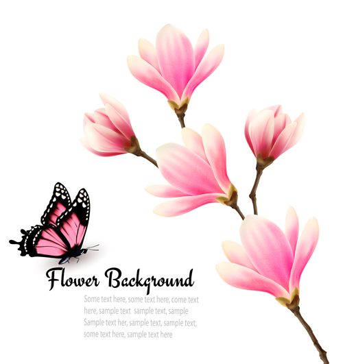 500x531 Pink Magnolia Flower Background Vector 03